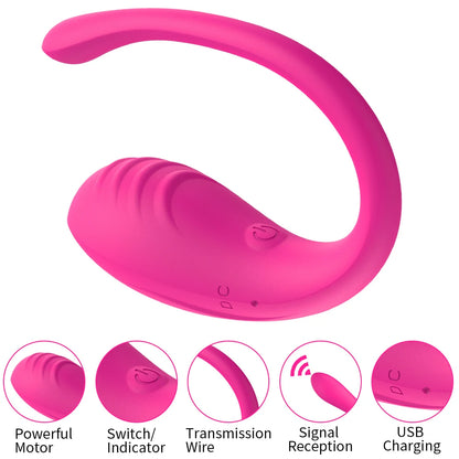 9 Speed APP Controlled Vaginal Vibrators